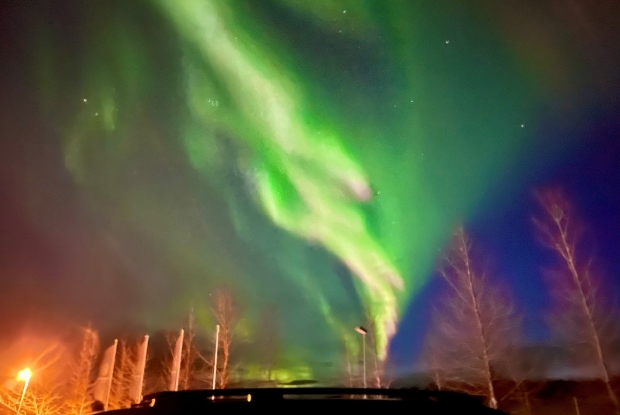 Northern Lights